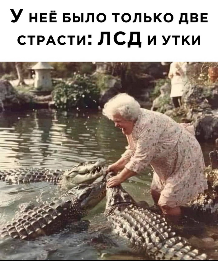 Фотоподборка среды (40 фото) 669647f2925ec.jpeg