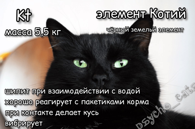 Коты как химические элементы (18 фото) 6699320218caa.jpeg