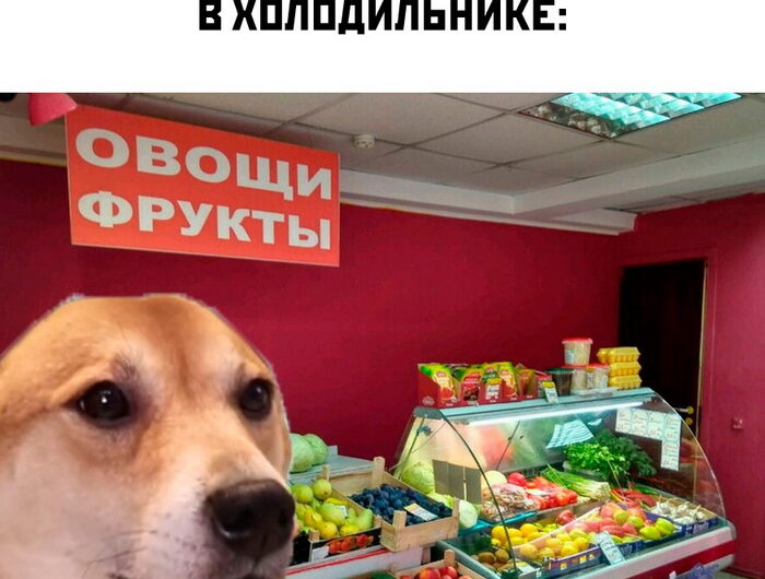 Юмор из интернета (20 фото) 6696522808b42.jpeg