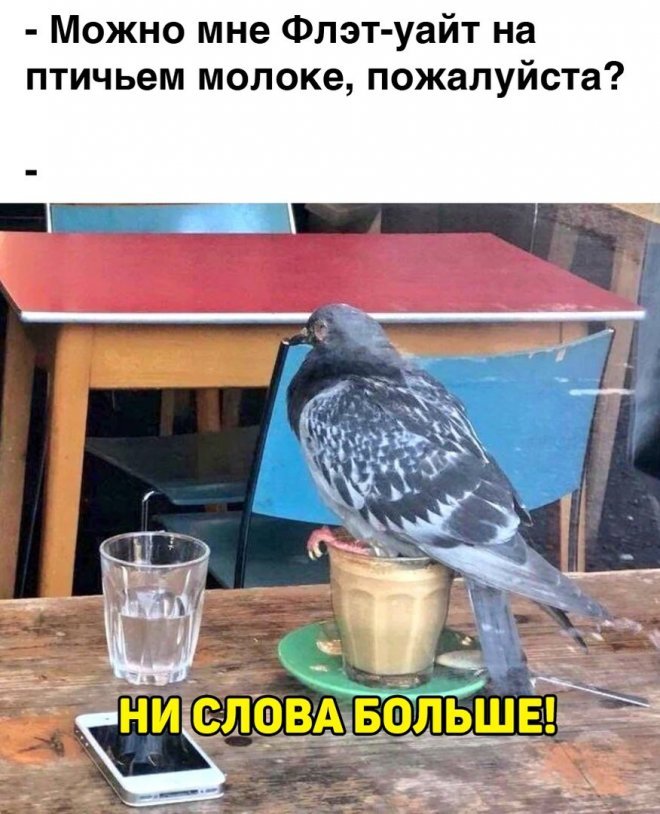 Юмор из интернета (50 фото) 66992d9d37ad1.jpeg