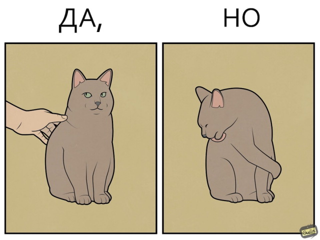 «Да, но…» с котиками (6 фото) 66d05e7924a08.jpeg