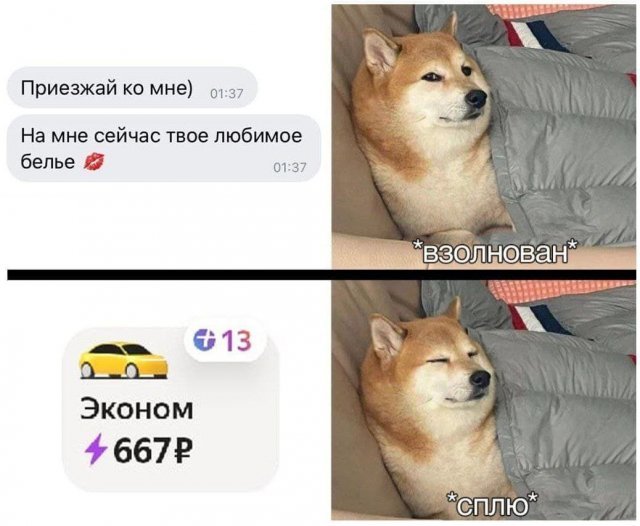 Юмор на взрослые темы (14 фото) 66d0668b54c9d.jpeg