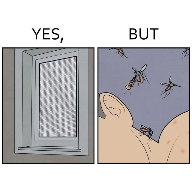 Да, но… (13 фото) 66e090e9b583d.jpeg