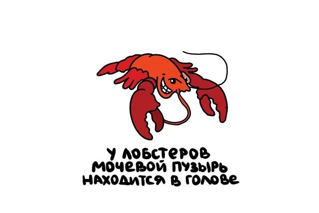 Факты о разном (15 фото) 66f84fc70516f.jpeg