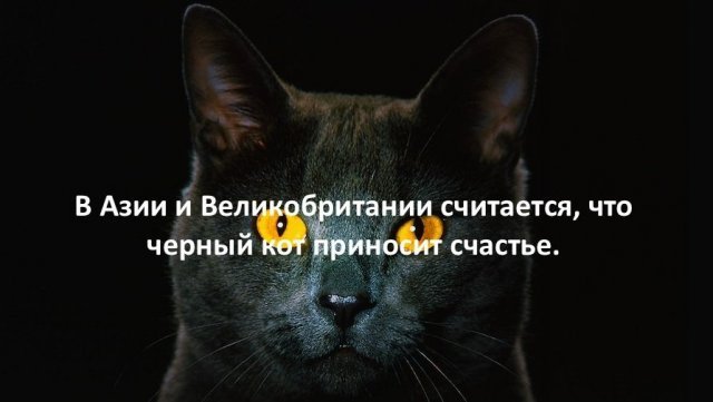 Факты в картинках (15 фото) 66f8575682cc6.jpeg