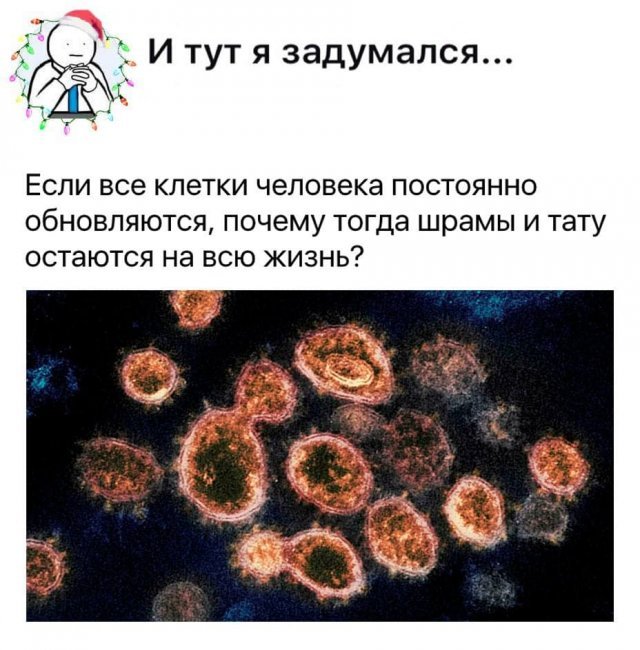 Философские вопросы из Сети (14 фото) 66f9d54b970fb.jpeg