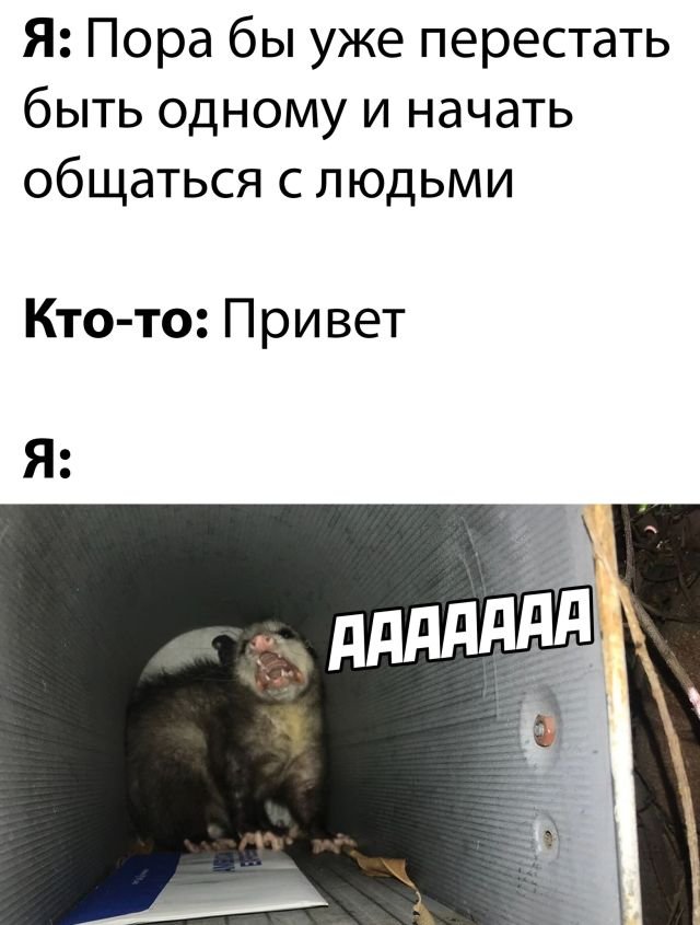 Фотоподборка четверга (24 фото) 66f858a2143b5.jpeg