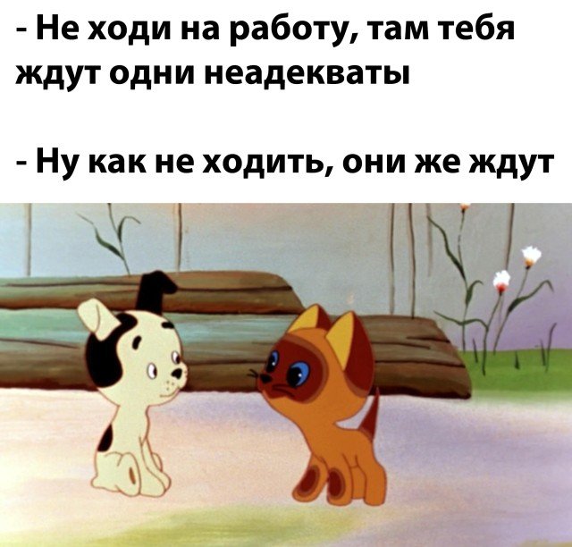 Фотоподборка четверга (54 фото) 66f9d90072f86.jpeg