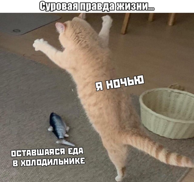 Фотоподборка четверга (55 фото) 66f9dc8dc65ef.jpeg