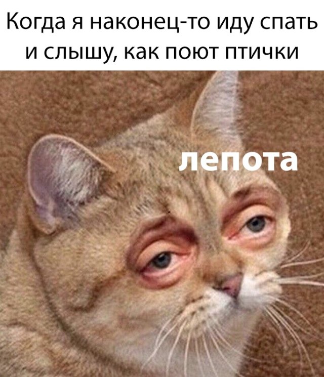 Фотоподборка четверга (60 фото) 66f9f46b497be.jpeg