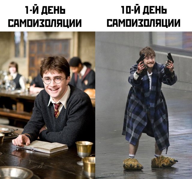 Фотоподборка четверга (66 фото) 66f9f7448cf21.jpeg