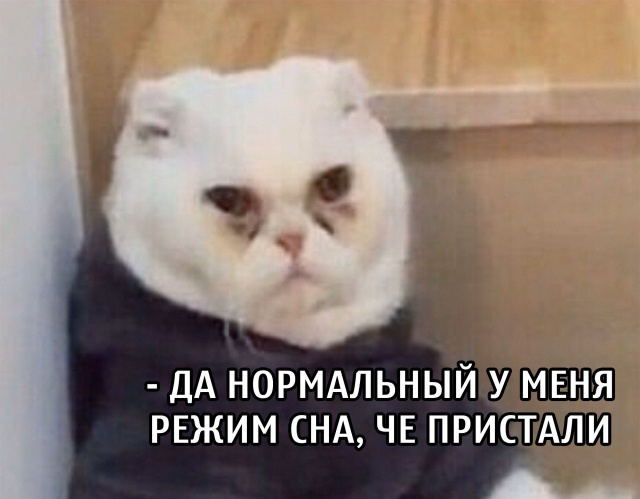 Фотоподборка четверга (67 фото) 66f9e5b545392.jpeg