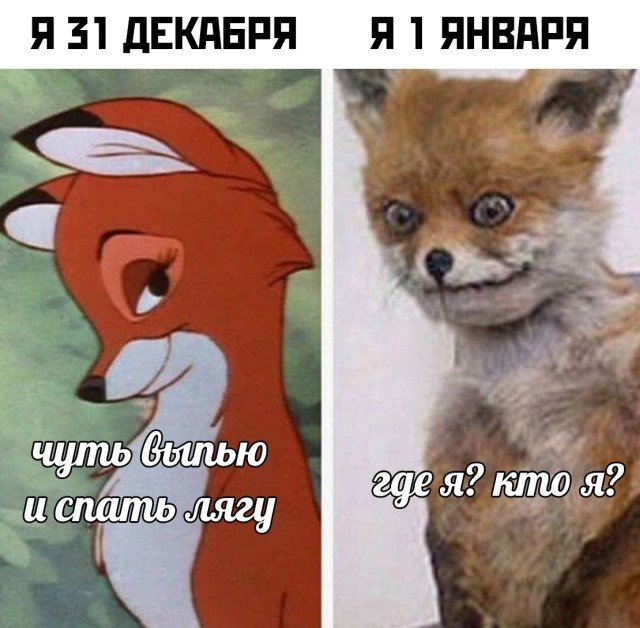 Фотоподборка четверга. Часть 2 (28 фото) 66f9d53875d37.jpeg