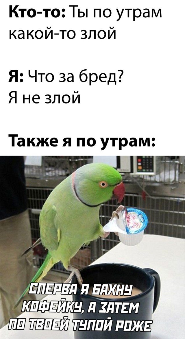 Фотоподборка понедельника (23 фото) 66f8731b52bc6.jpeg