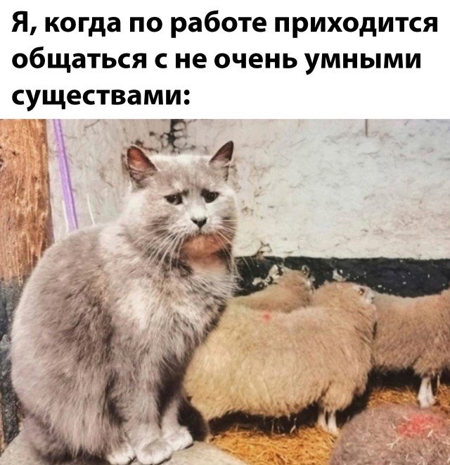 Фотоподборка пятницы (23 фото) 66f8640baa473.jpeg