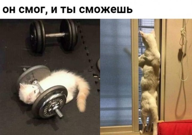 Фотоподборка пятницы (52 фото) 66f9dfbdd2637.jpeg