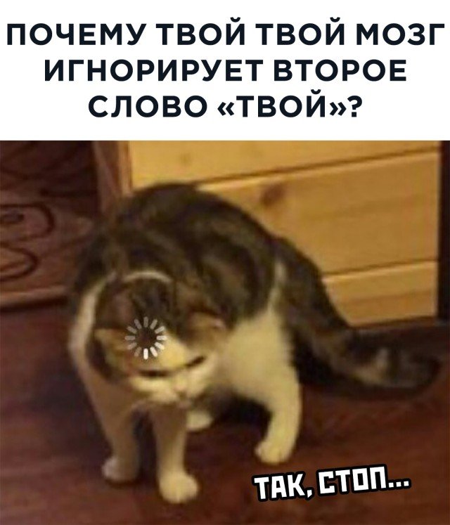 Фотоподборка пятницы (59 фото) 66f9dd4da8bc4.jpeg