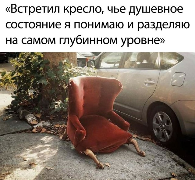 Фотоподборка пятницы (60 фото) 66f9ea472050e.jpeg
