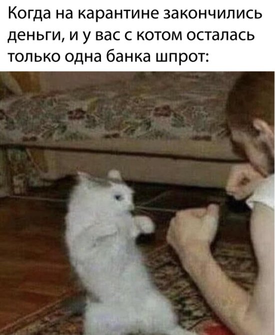 Фотоподборка пятницы (65 фото) 66f9f534d24c1.jpeg