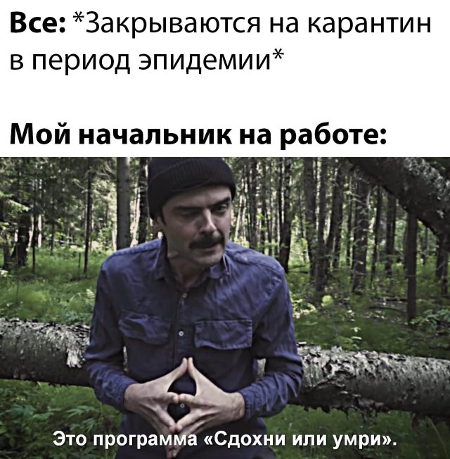 Фотоподборка среда (58 фото) 66f9f943736fd.jpeg