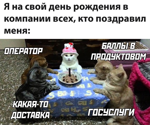 Фотоподборка среды (53 фото) 66f9e00f0aa01.jpeg