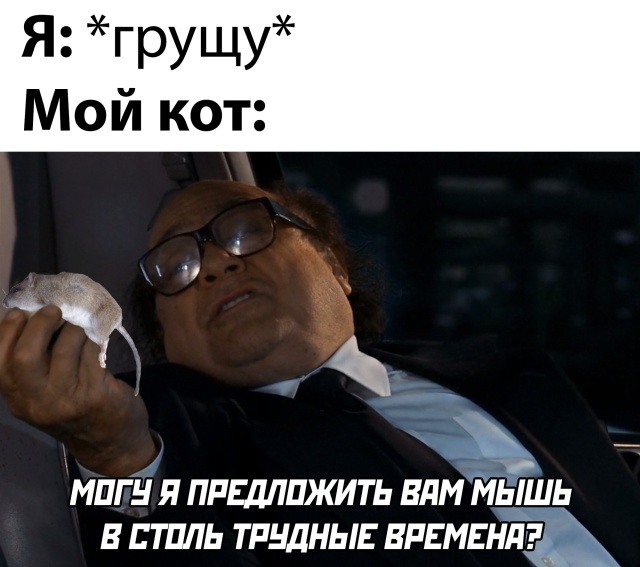 Фотоподборка среды (61 фото) 66f9e745a78bf.jpeg