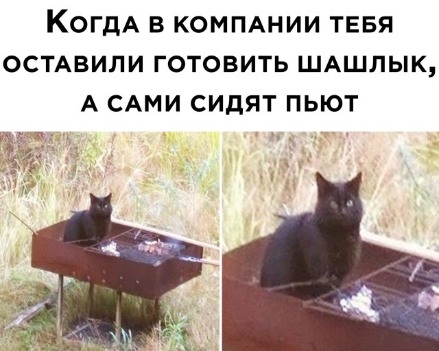 Фотоподборка среды (66 фото) 66f9e81f4bfb2.jpeg