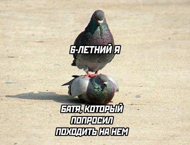Фотоподборка субботы (50 фото) 66f84f11b9bc0.jpeg