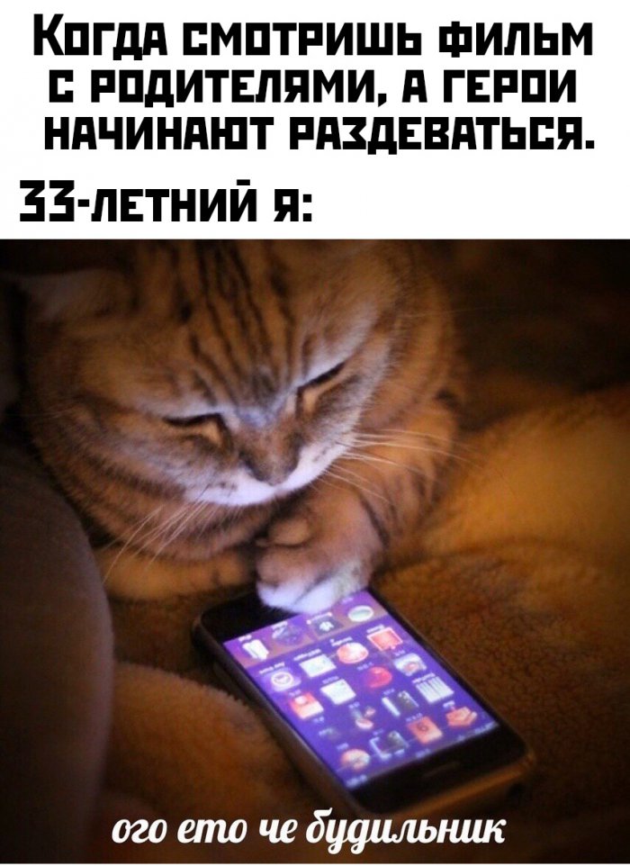 Фотоподборка субботы (54 фото) 66fa03689ea04.jpeg