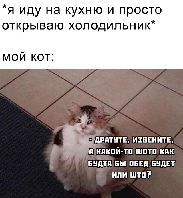 Фотоподборка субботы (58 фото) 66f9d99ad845c.jpeg