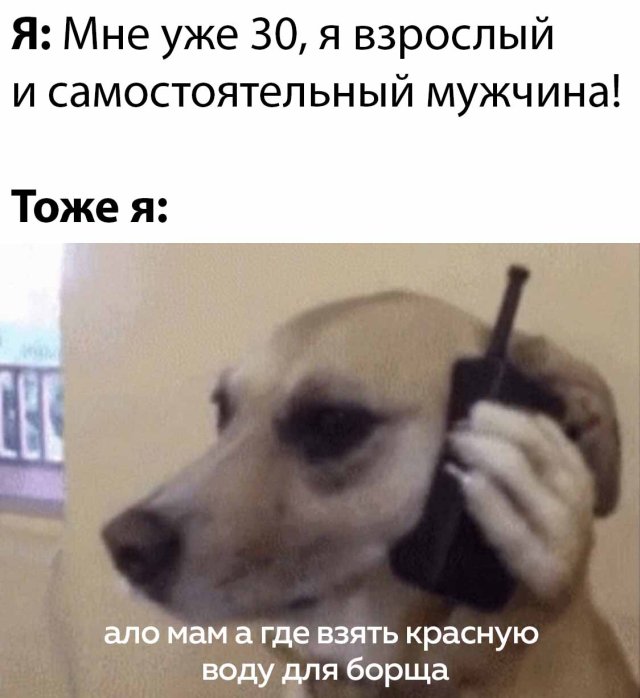 Фотоподборка субботы (64 фото) 66f9f155c2fb6.jpeg