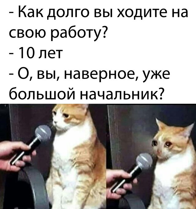 Фотоподборка субботы (68 фото) 66f9f3249a28a.jpeg
