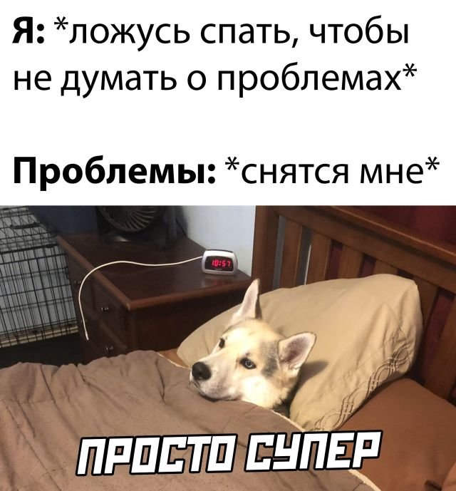 Фотоподборка вторника (21 фото) 66f859e155a95.jpeg