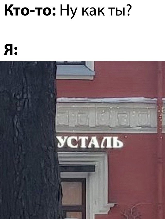 Фотоподборка вторника (22 фото) 66f85b9aac812.jpeg