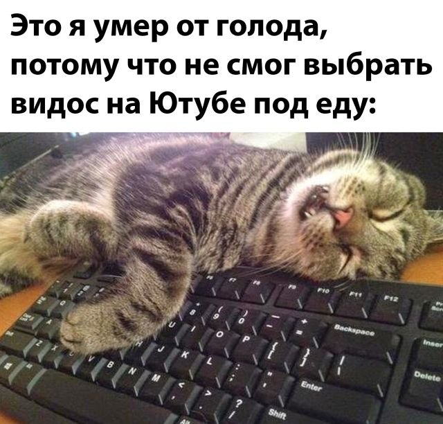 Фотоподборка вторника (24 фото) 66f858f7aa269.jpeg