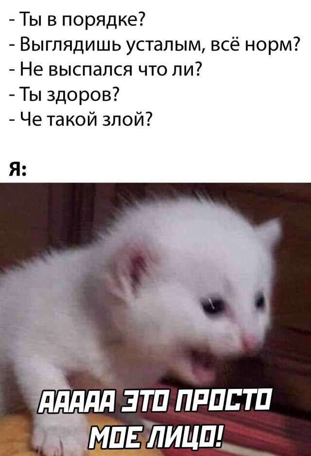 Фотоподборка вторника (26 фото) 66f85812a70c6.jpeg
