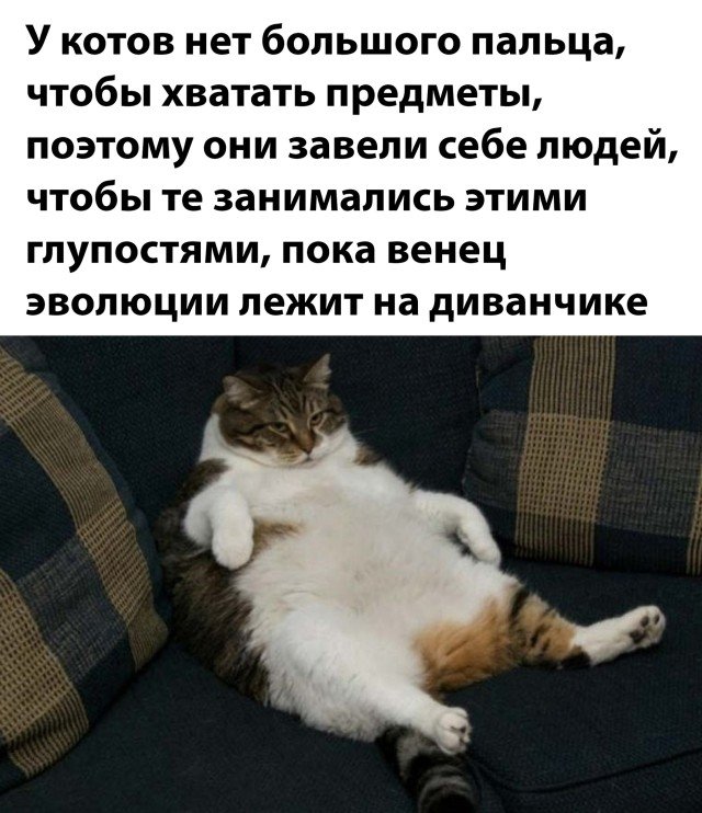 Фотоподборка вторника (33 фото) 66e092c11fe30.jpeg