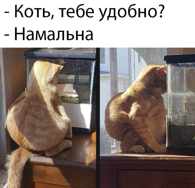 Фотоподборка вторника (60 фото) 66f9fa753c099.jpeg