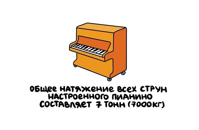 Интересные факты (14 фото) 66f84f7971cbb.jpeg