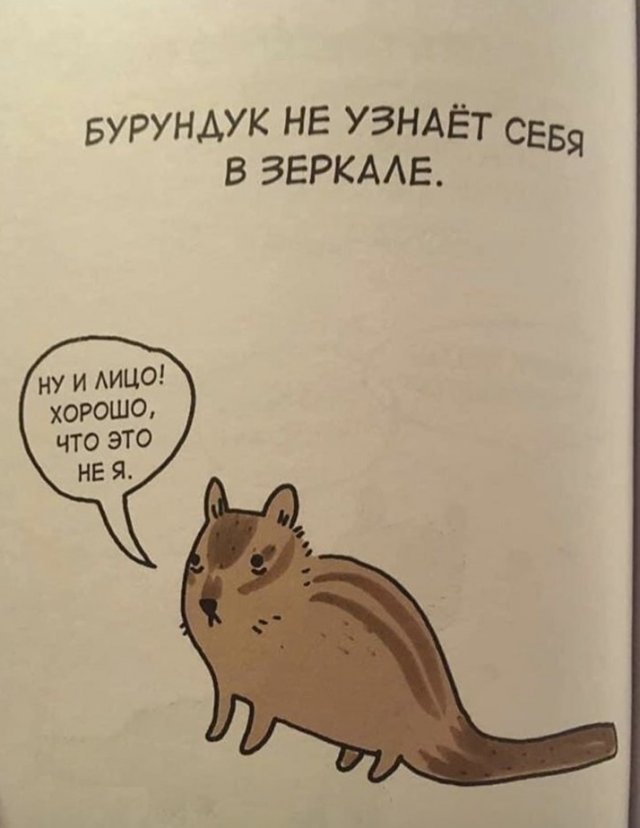 Интересные факты о животных (20 фото) 66f9e4717caac.jpeg