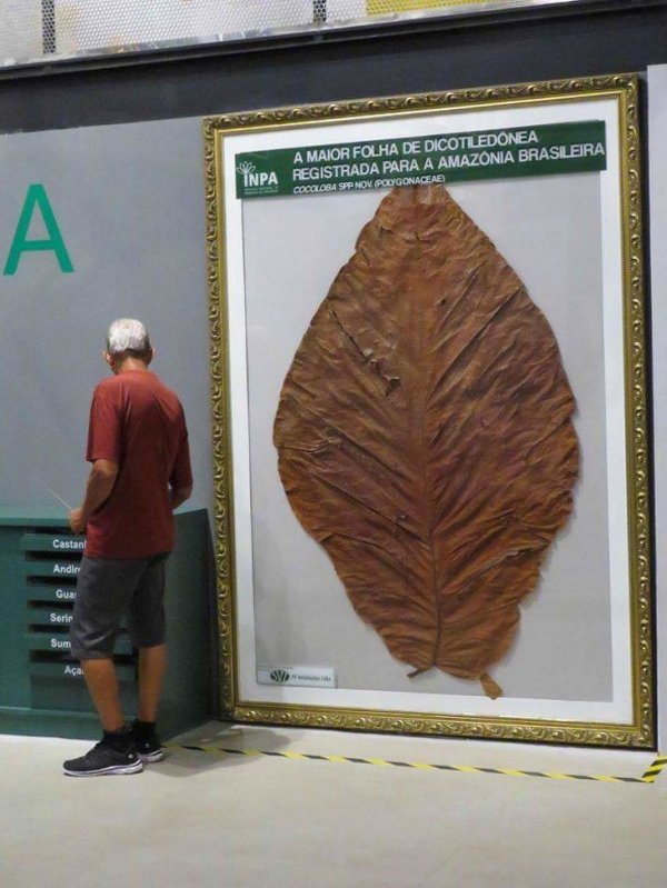 Интересные фотографии разных вещей (20 фото) 66fa0131befe1.jpeg
