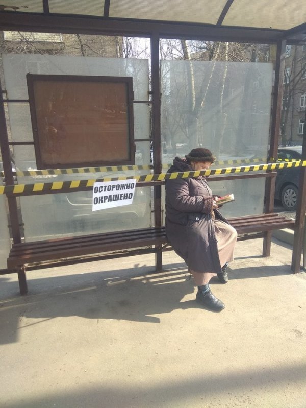 Когда пофиг на все (14 фото) 66f8538fbacba.jpeg