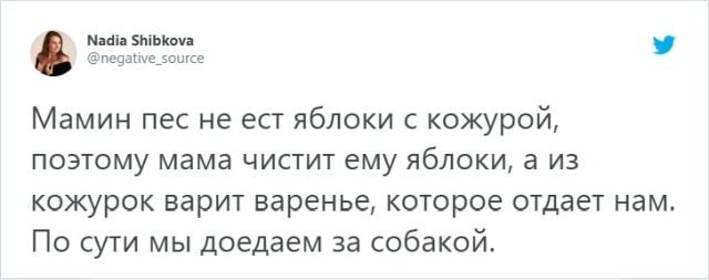 Когда собака — хозяин в доме (15 фото) 66f85b42370cd.jpeg