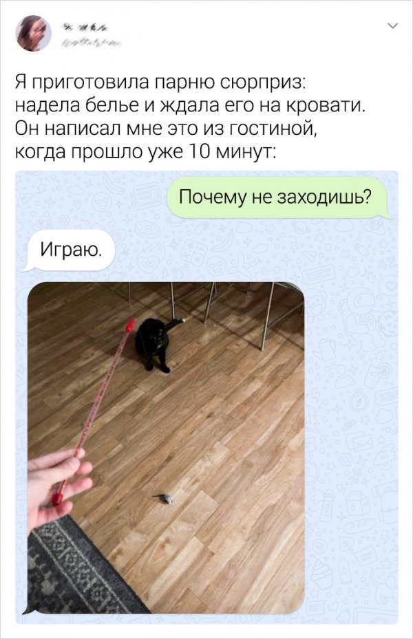 Когда взаимопонимания достичь не удалось (16 фото) 66f9f4314aee8.jpeg