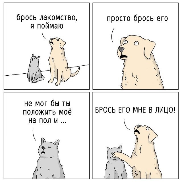 Комиксы про животных (16 фото) 66e0930296a62.jpeg