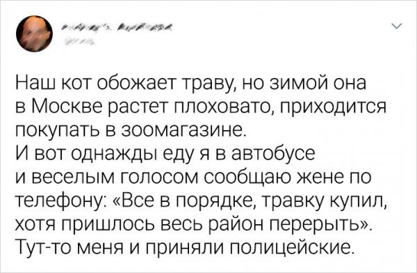Не самые приятные моменты из повседневной жизни (15 фото) 66fa066e49dd4.jpeg