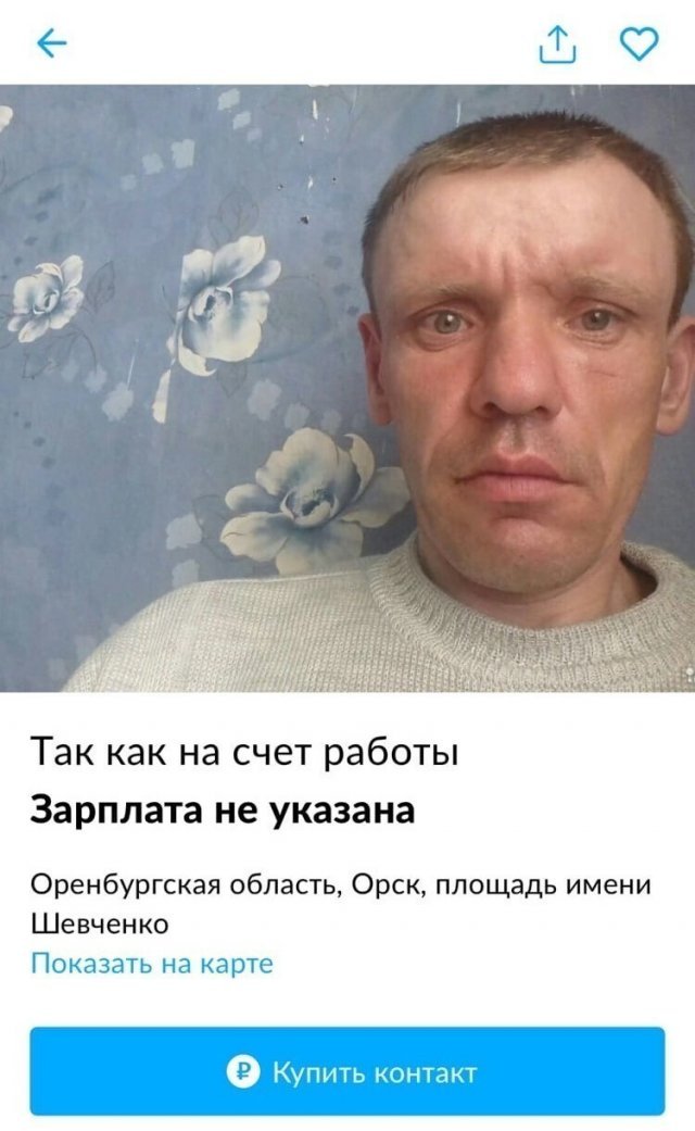 Необычные объявления из Сети (14 фото) 66f879f887f2b.jpeg