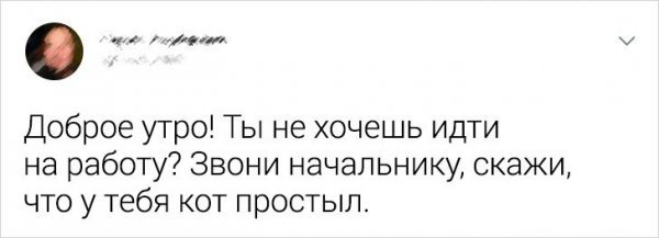Необычные советы из соцсетей (19 фото) 66f864b646092.jpeg