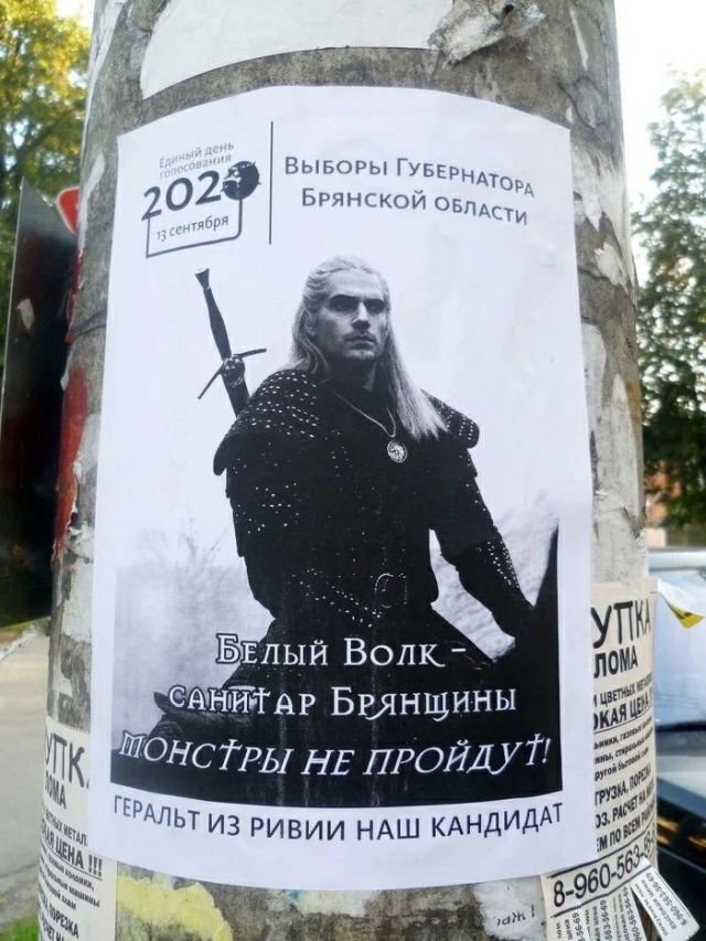 Необычный «кандидат» в губернаторы Брянской области (4 фото) 66f9e3decec20.jpeg