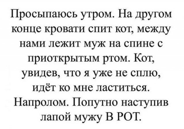 Пользователи Сети о неудачах (12 фото) 66f85617be5f0.jpeg